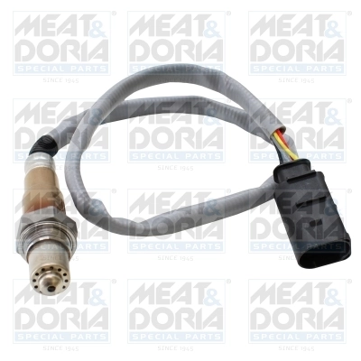 Oxygen Sensor